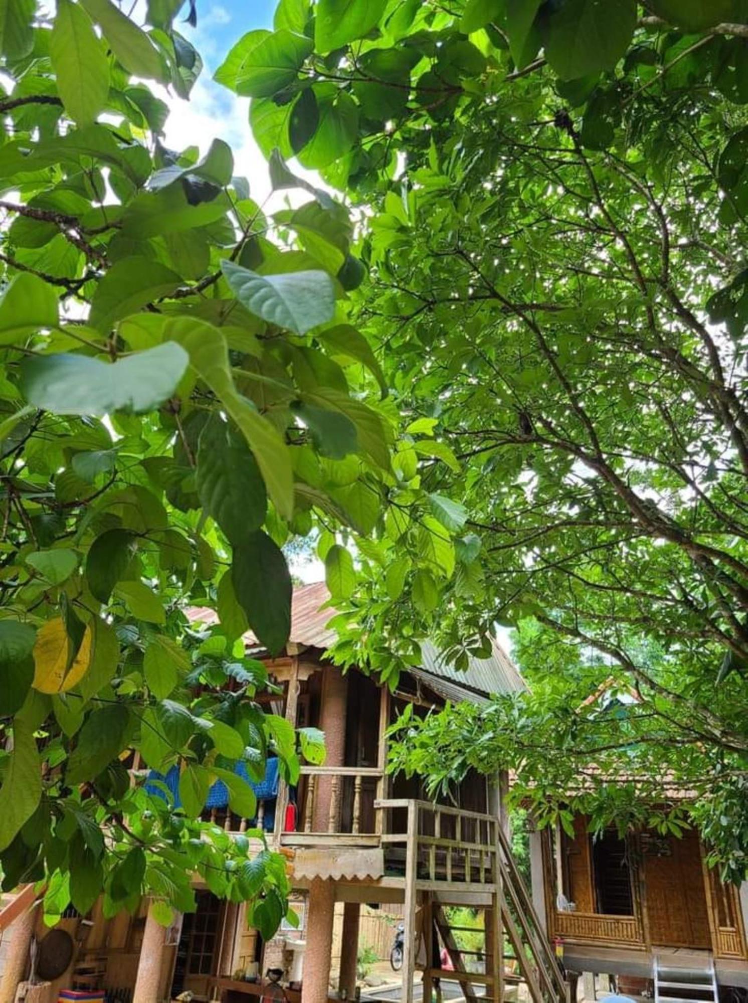 Homestay Ho Son - Thac Anor A Luoi Exterior foto